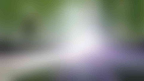 photo_23_v01