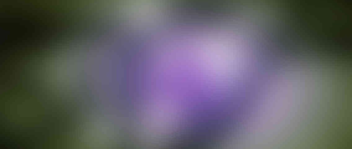 http://www.cts-led.co.uk/wp-content/uploads/2013/03/standout_slide_3_v01-1136x480.jpg