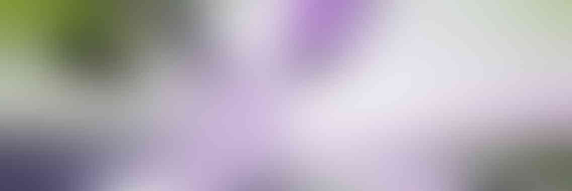 http://www.cts-led.co.uk/wp-content/uploads/2013/04/viewport_slide_1_v01-1136x380.jpg