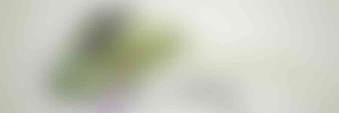 http://www.cts-led.co.uk/wp-content/uploads/2013/04/viewport_slide_3_v01-1136x380.jpg
