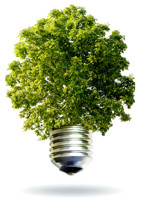 GreenBulb icon